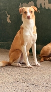 NATY Image 2